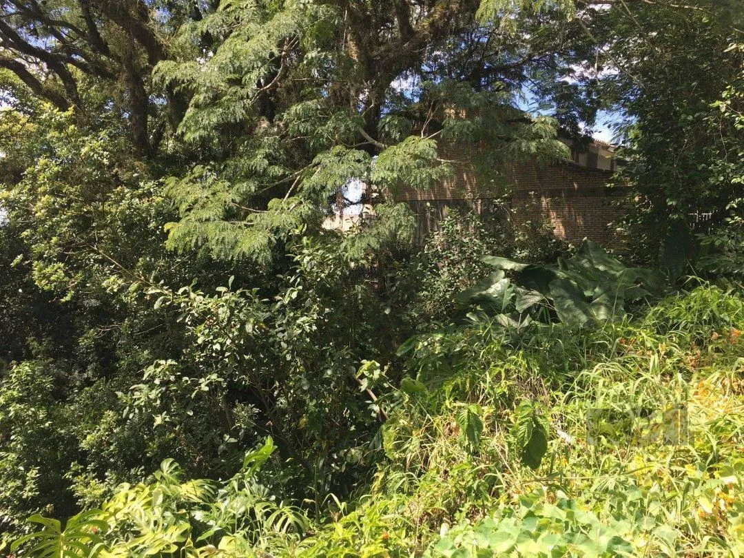 Imagem Terreno Setimo Ceu.