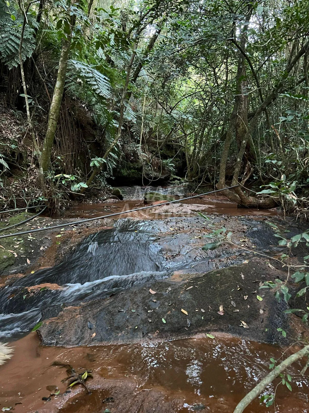 Imagem Chácara de 10 hectares para venda em Lomba Grande, Novo Hamburgo