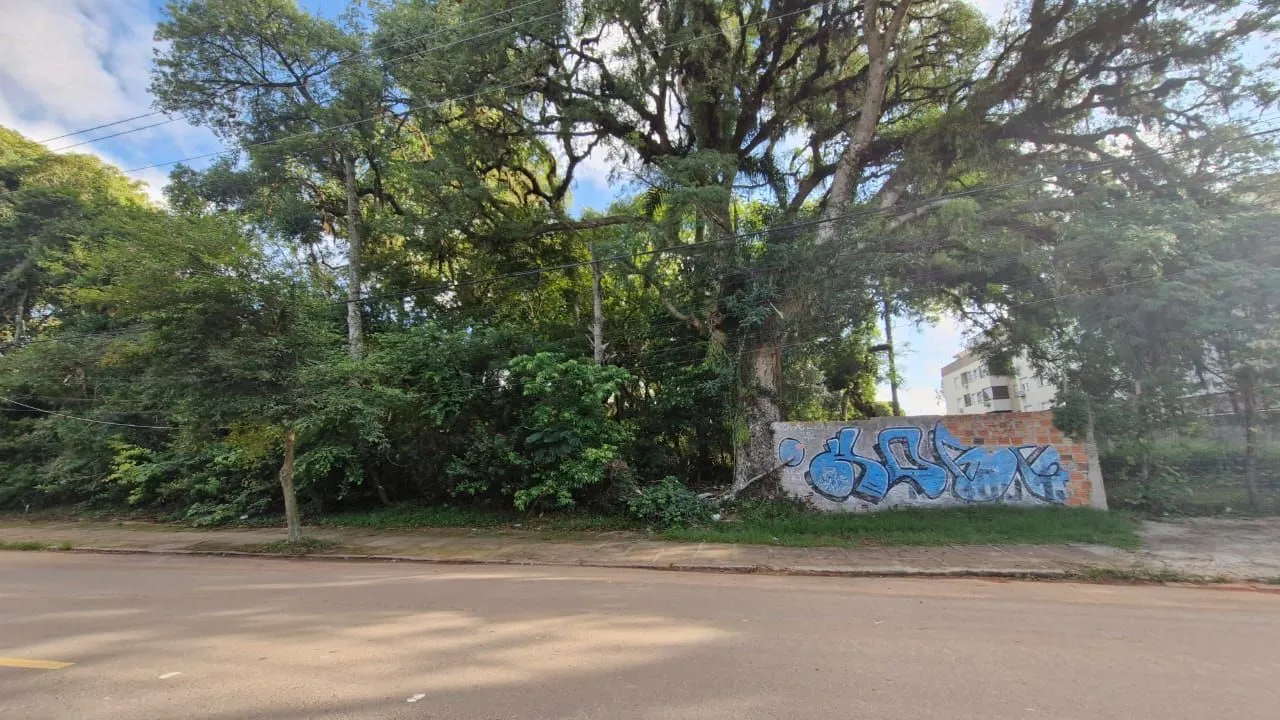 Imagem Terreno grande no bairro teresopolis