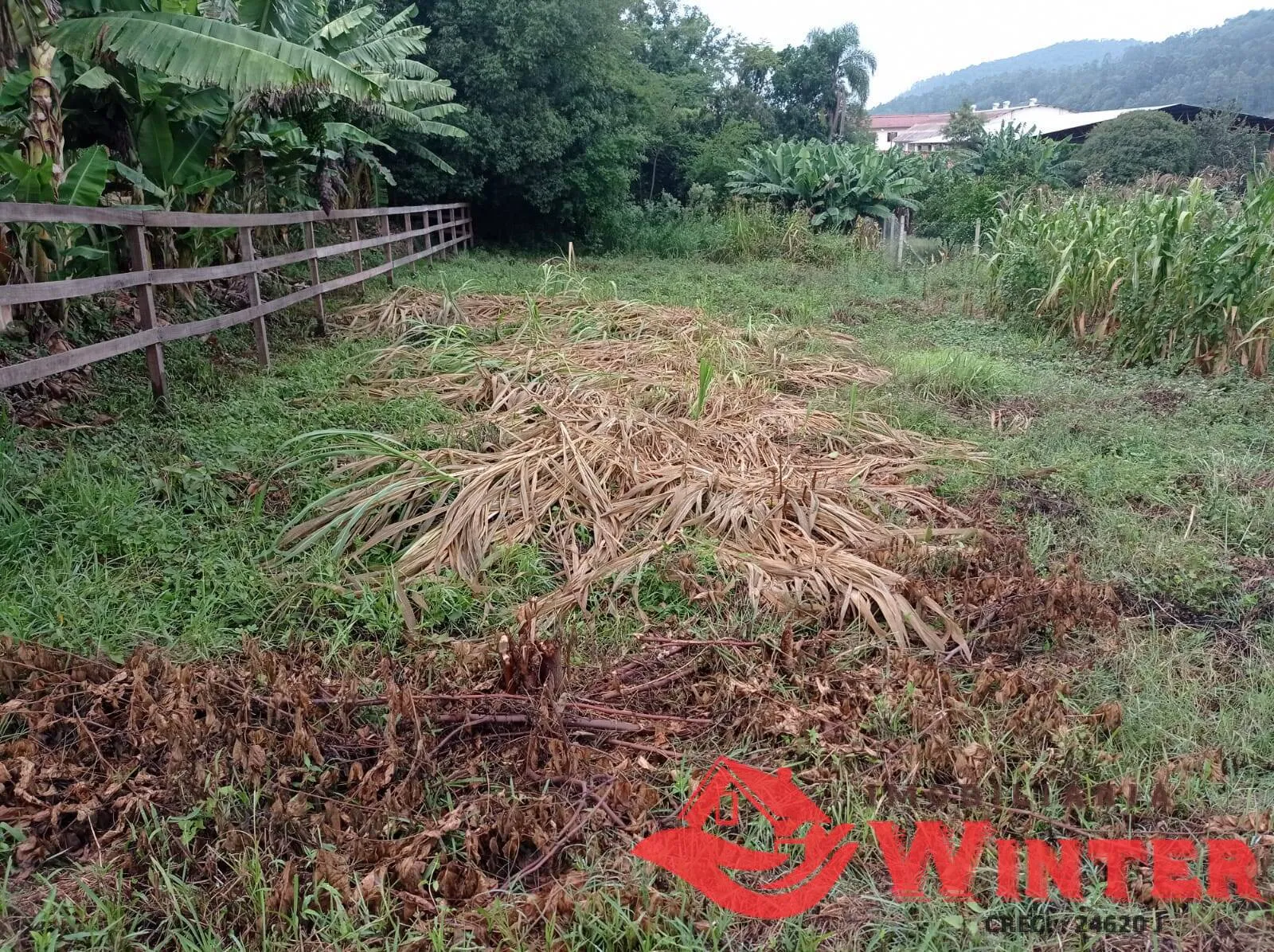 Imagem Terreno de 360m² no Centro de Tupandi.