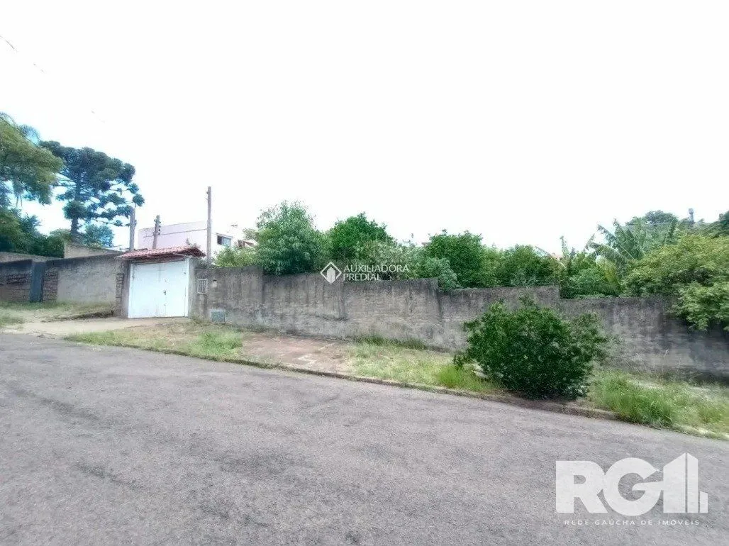 Imagem Terreno em Vila Ipiranga