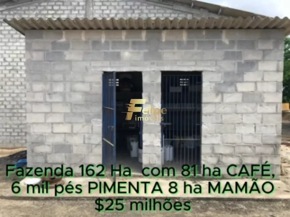 Imagem FAZENDA DE ALTO PADRÃO EM EUNÁPOLIS/BA 162 HECTARES DOCUMENTADOS 81 há de CAFÉ.