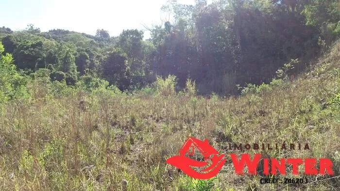Imagem Terreno amplo com 1200m² bairro, Picão, Feliz.