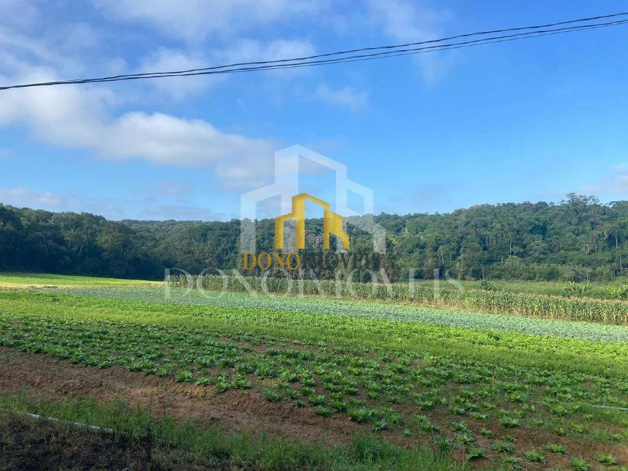 Imagem Área de 194.153 m² em Suzano/SP | Próximo ao Rodoanel