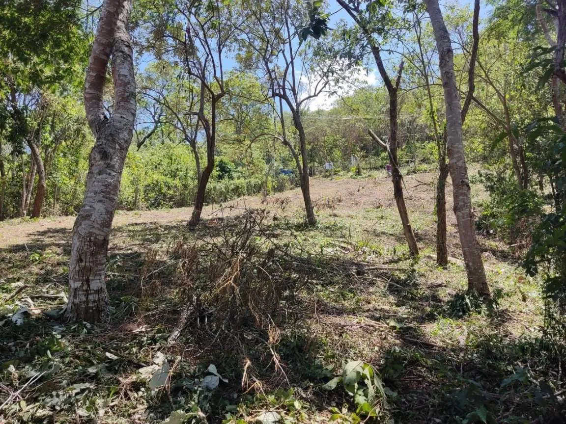 Imagem Terreno em Condomínio para Venda em Petrópolis / RJ no bairro Araras