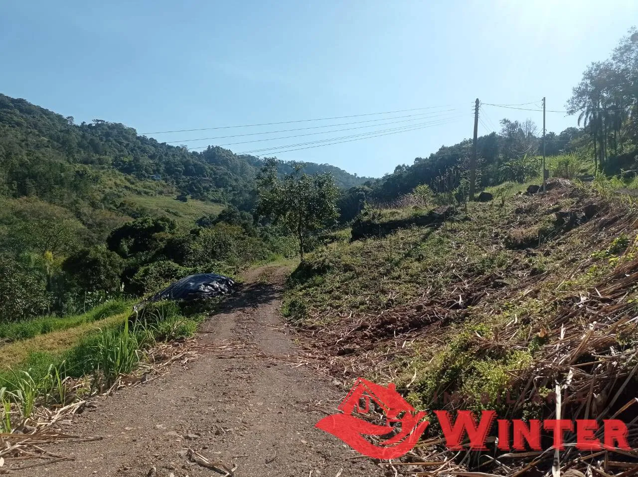 Imagem Chácara com 1,8hectares Canto Dewes, Alto Feliz.
