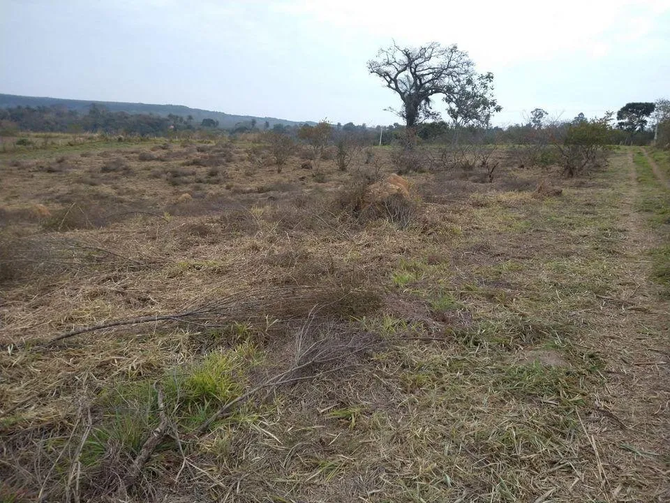 Imagem TERRENO- ARTUR NOGUEIRA/HOLAMBRA