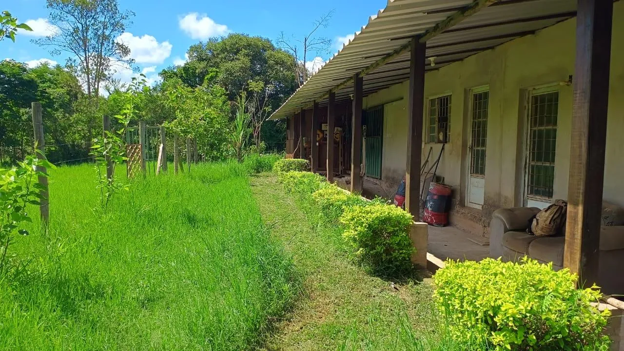 Imagem Vendo ótima chácara em Crucilândia com 7.000 m² de area