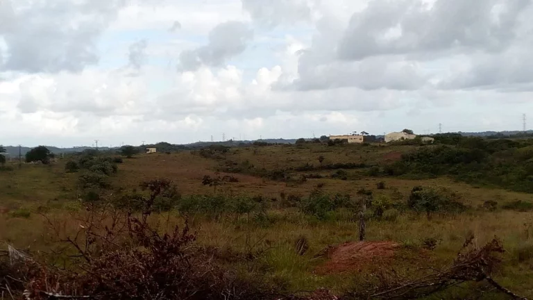 Imagem ÁREA EM CAMAÇARI