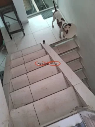Imagem SOBRADO DE FINO ACABAMENTO PARA ALUGAR -