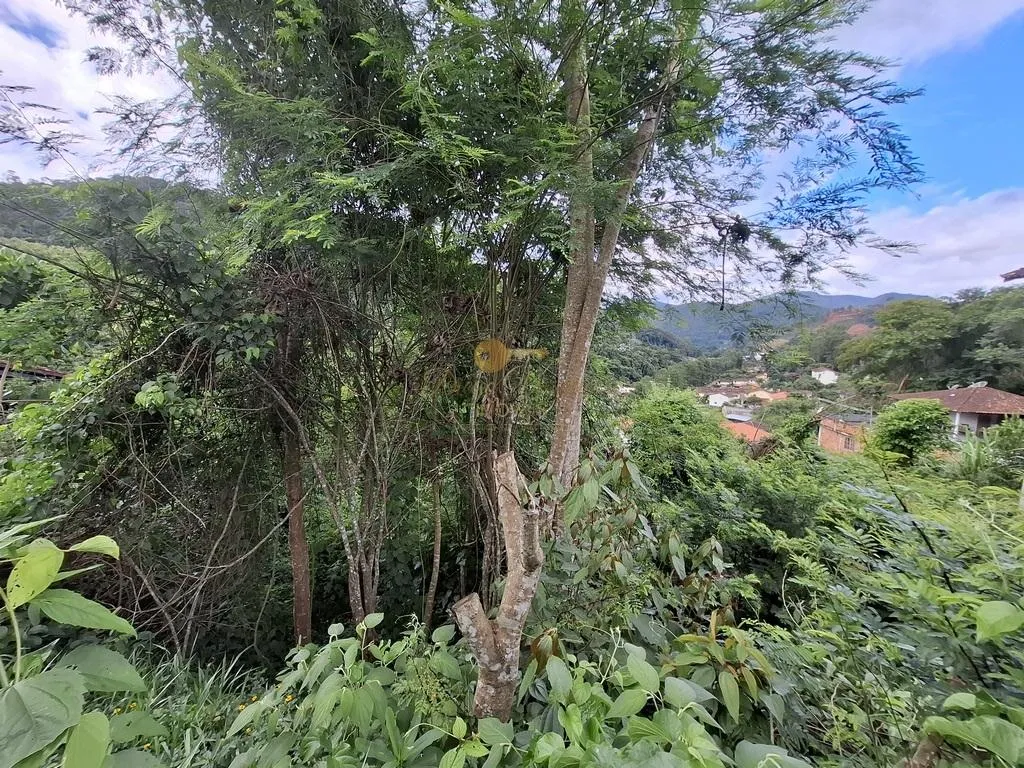Imagem Terreno para Venda em Teresópolis / RJ no bairro Albuquerque