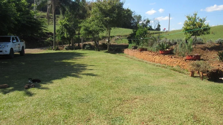 Imagem Área Agrícola para Venda em Concórdia, Rural