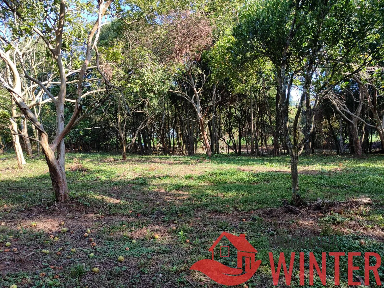 Imagem Área de terras plana com 4.800,00m² em Morro São Pedro, Bom Princípio.