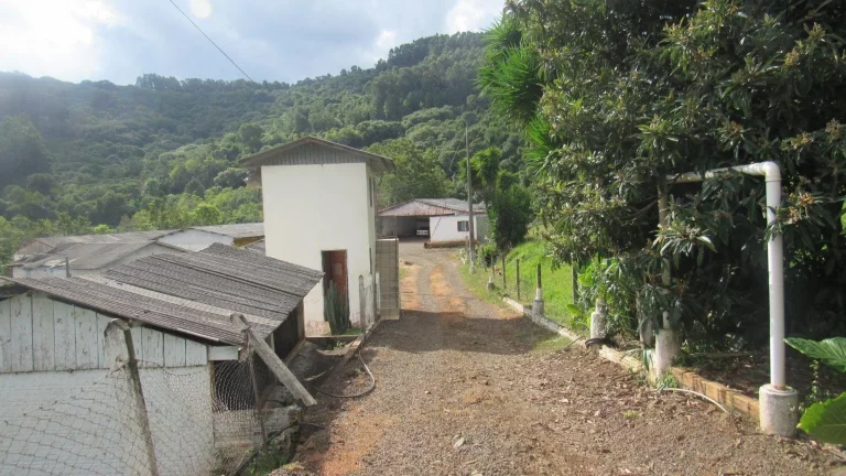 Imagem Granja para Venda em Irani, Rural