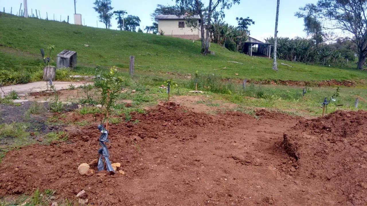 Imagem Chácara para Venda em Passo dos Ramos, Santo Antônio da Patrulha/RS.