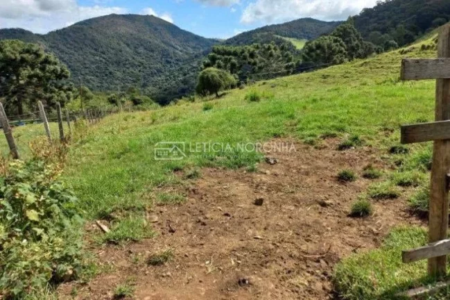 Imagem fazenda a venda mg