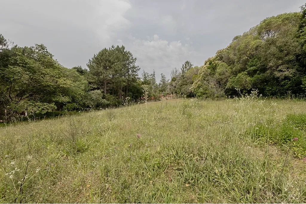 Imagem Terreno em Belém Velho