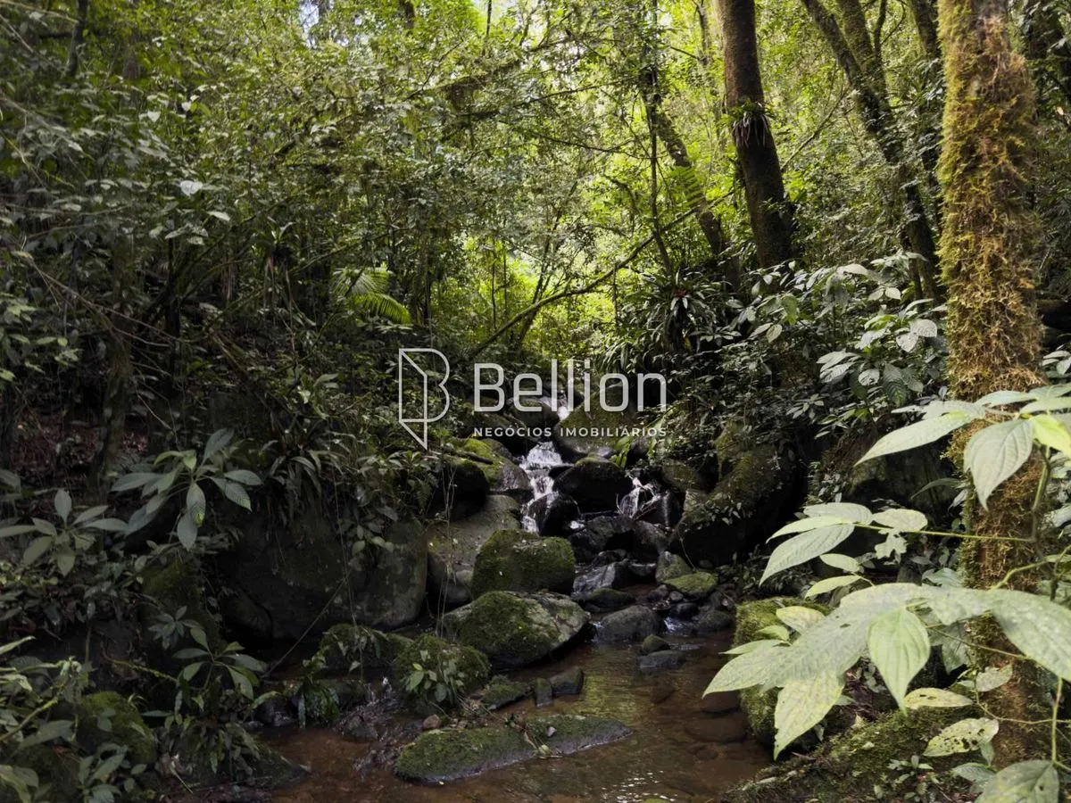 Imagem Terreno com Cachoeira em Ribeirão Coração, Benedito Novo