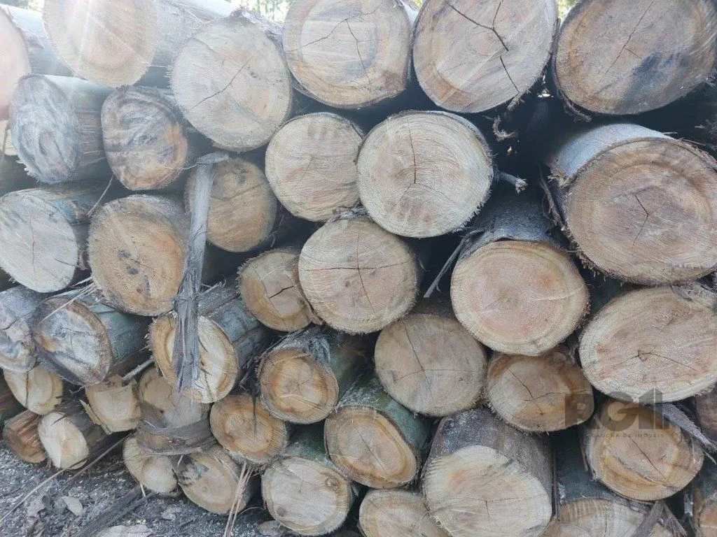 Imagem Fazenda em Zona Rural