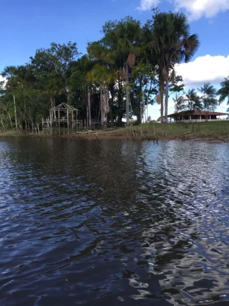 Imagem CASAL IMÓVEIS VENDE FAZENDA SÃO DOMINGOS DO CAPIM 400 HECTARES
