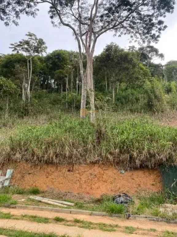 Imagem Terreno em Condomínio para Venda em Teresópolis / RJ no bairro Fazenda Alpina