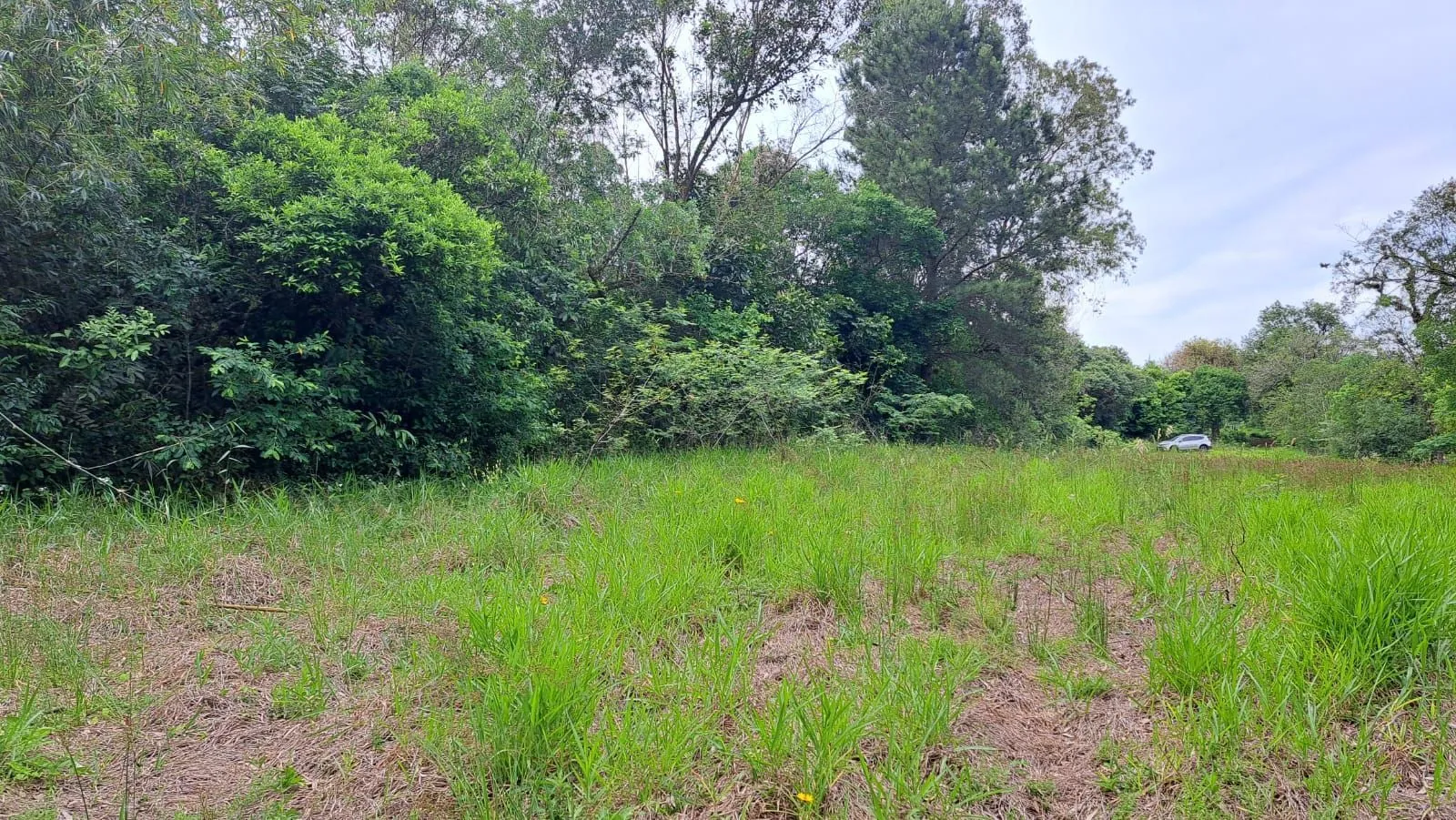 Imagem TERRENO BAIRRO EM CANOAS
