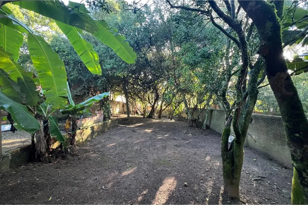 Imagem Terreno em Belém Velho