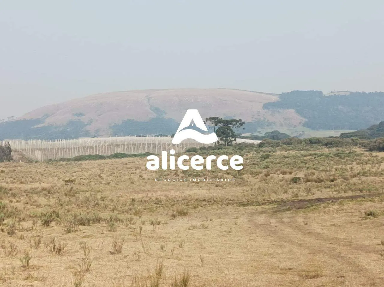 Fazenda Produtiva à Venda em São Joaquim/SC | 3.200 Macieiras | Araucárias | Lago | Nascente | Exclusividade Imobiliária Alicerce