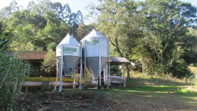Imagem Área Agrícola para Venda em Lindóia do Sul, Linha Mimosa