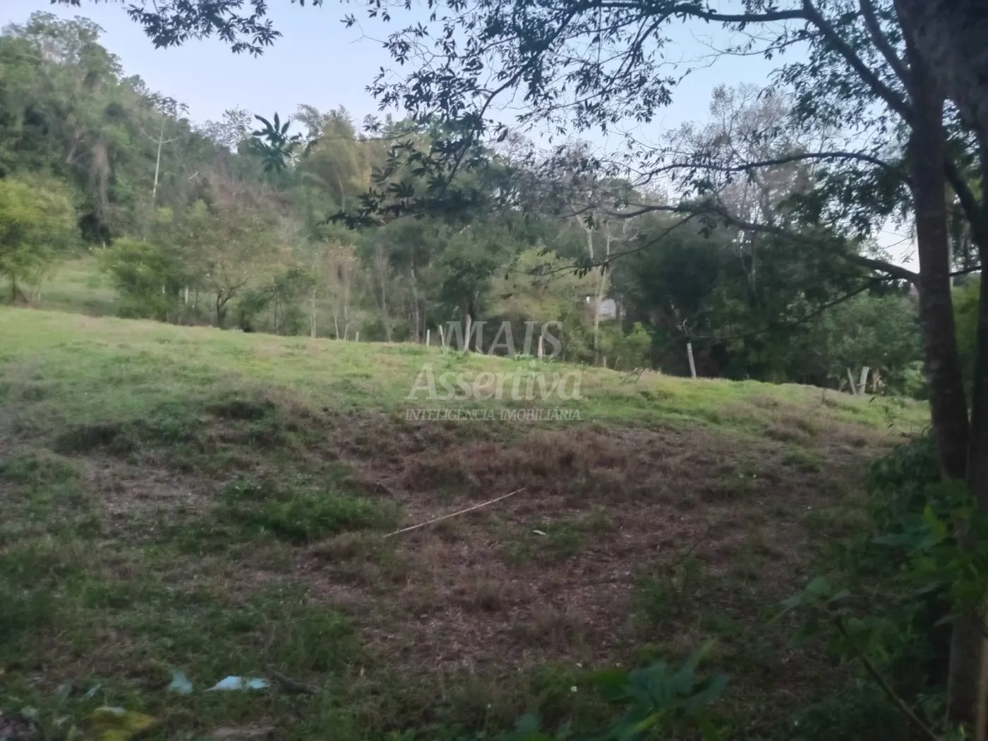 Imagem Excelente Chácara para Venda em Taquara Bairro Pega Fogo