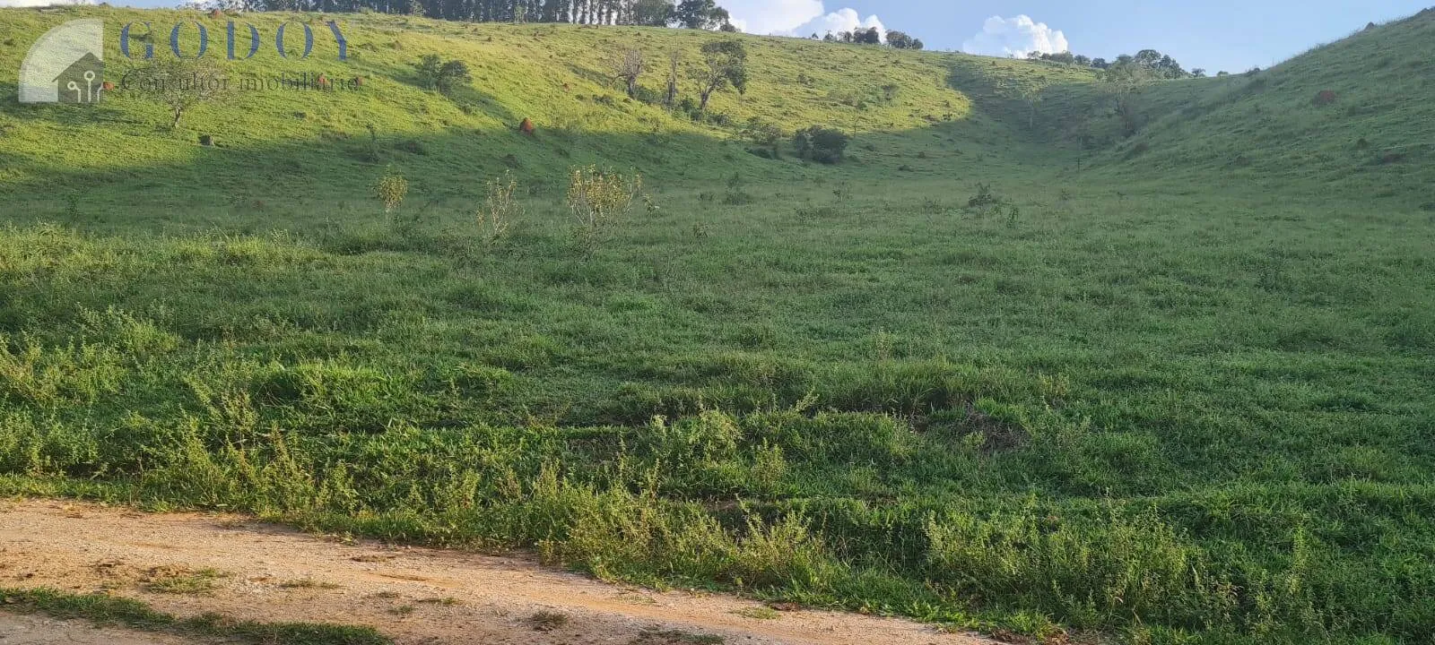 Imagem Área Rural à Venda com Ótimo Acesso e Energia - 2,3 Alqueires