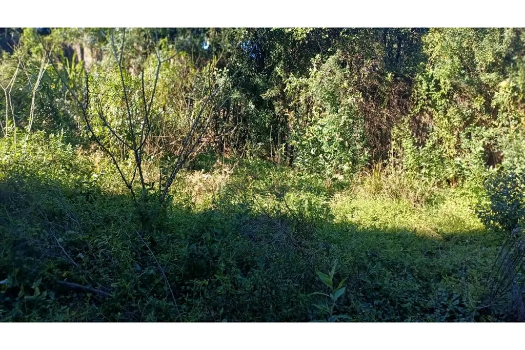 Imagem Fazenda em Aparecida