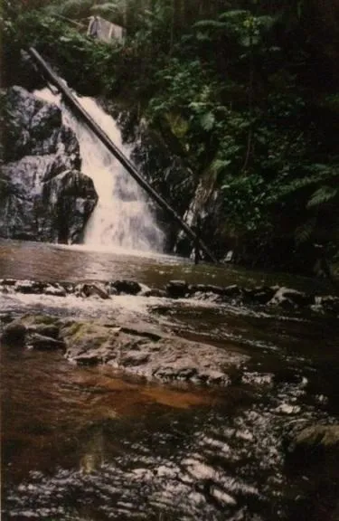 Imagem Lindo Sitio em Pedro de Toledo