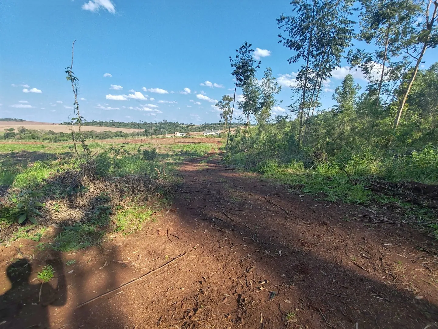 Imagem Chácara com 25.945 m² à venda em São Miguel do Iguaçu