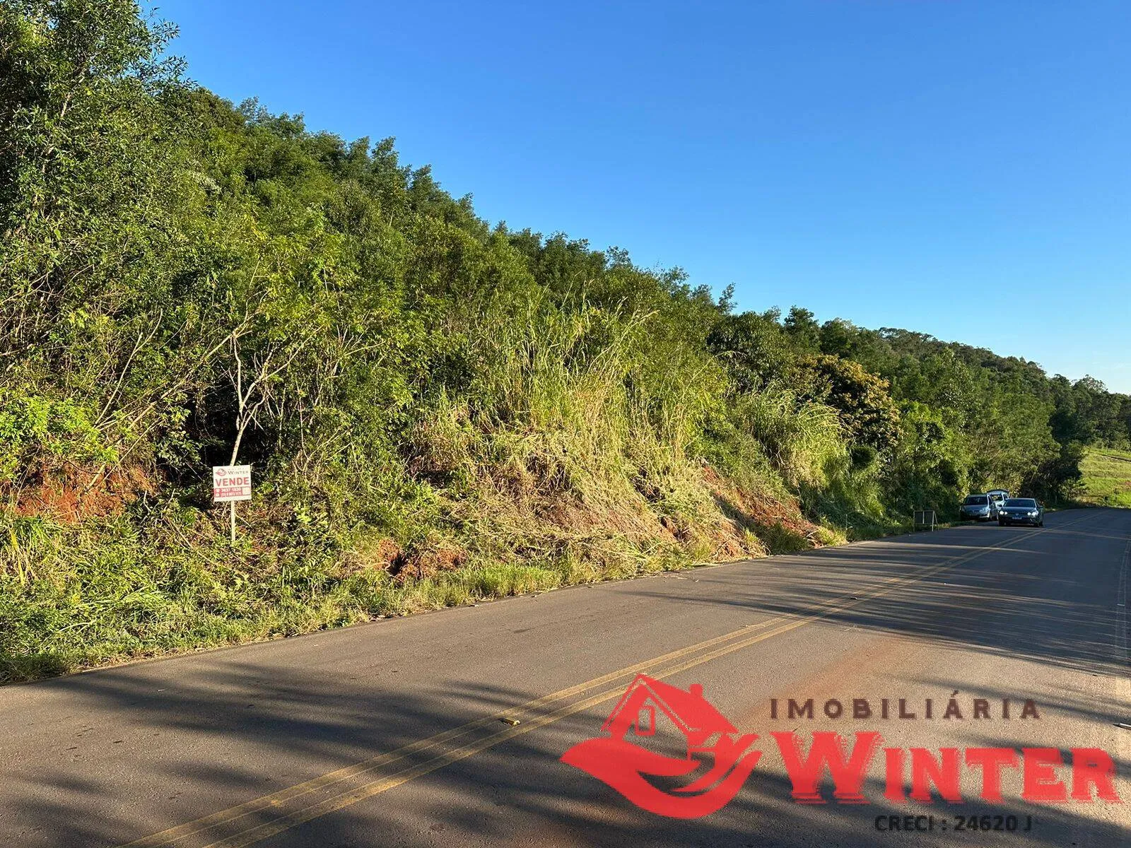Imagem 10 hectares com Casa na Linha Nova!