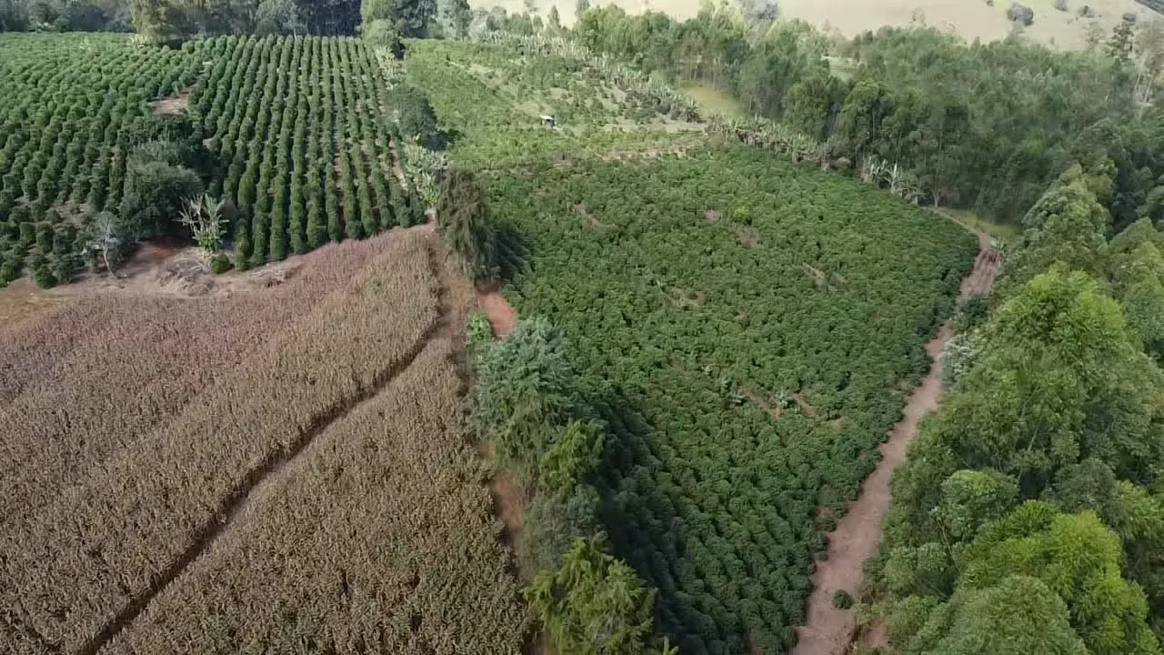 Imagem Sítio 1,3 ha à venda em Capituvas, Campestre