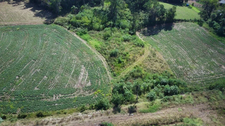 Imagem Terreno para Venda em Concórdia, Arvoredo