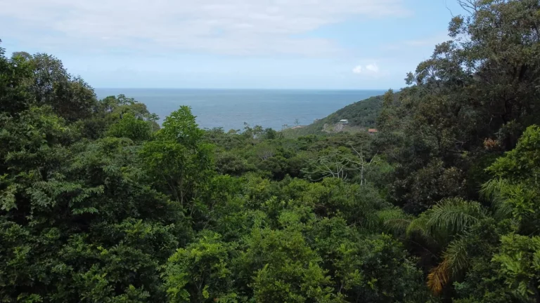 Imagem Terreno com Vista para o Mar na Praia da Ferrugem - Garopaba-SC!
