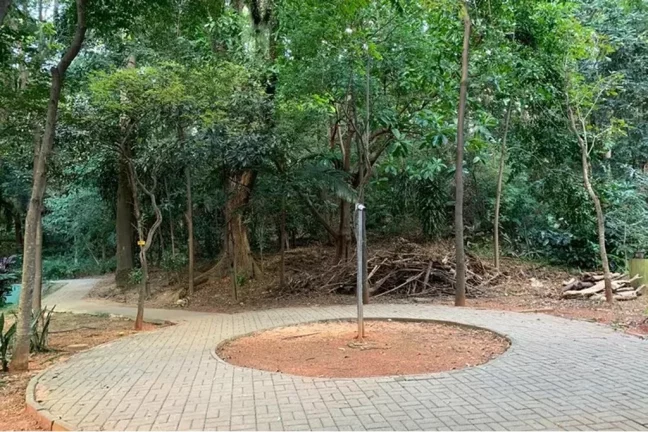 Imagem Apartamento à venda no bairro Freguesia do Ó - São Paulo/SP