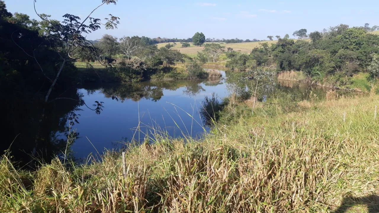 Imagem FAZENDA À VENDA - SÃO GONÇALO DO PARÁ 120 hectares de terra