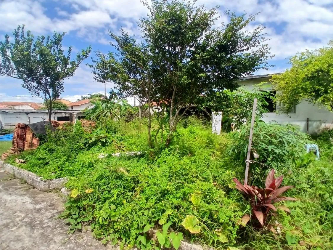 Imagem Belo terreno para construir seu sonho