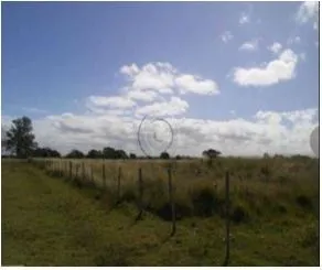 Imagem Area para Venda - 1.100.000m², Vila Santa Rosa
