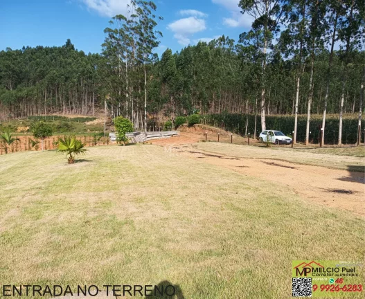 Imagem SITIO RURAL em TIJUCAS - SC, Oliveira