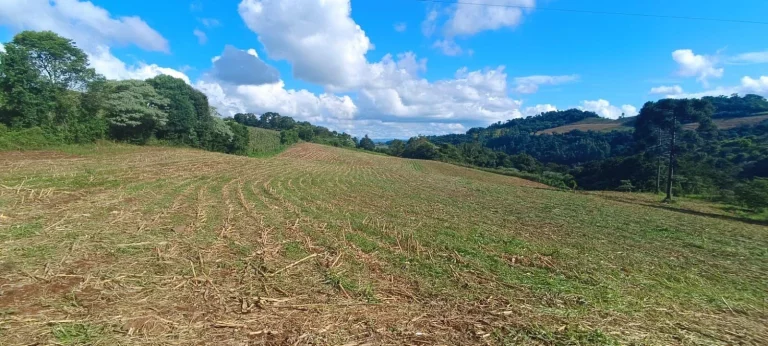 Imagem Área Agrícola para Venda em Arabuta, Sc-154