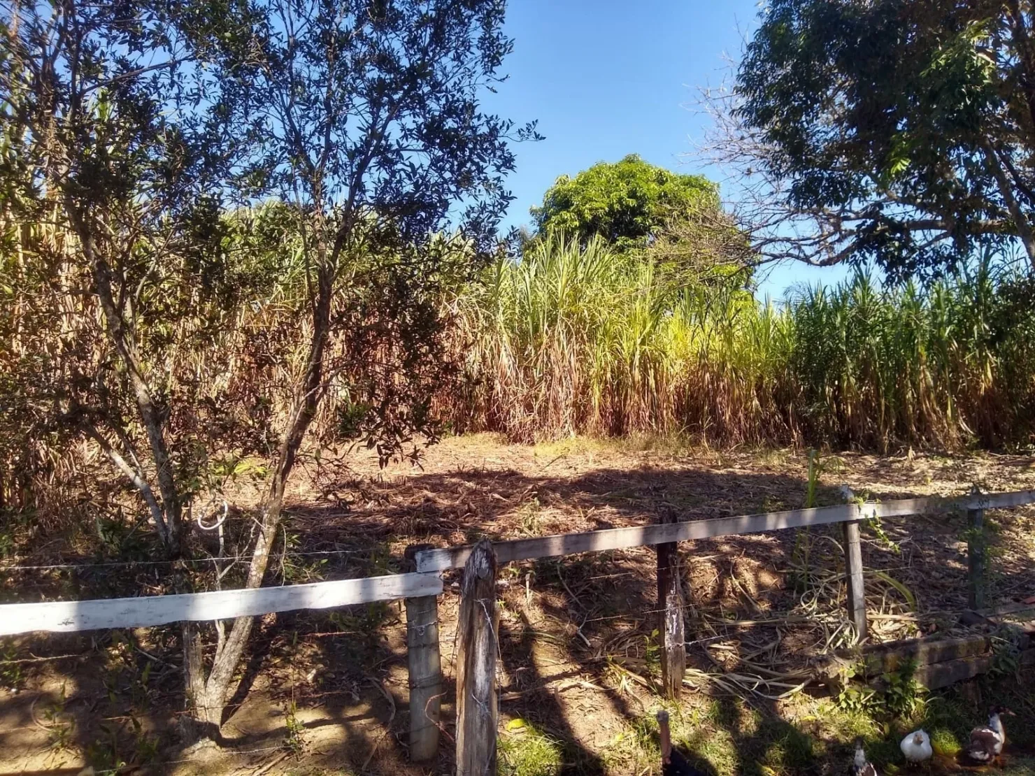 Imagem Chácara à venda, Bosque dos Ipês, Guaratinguetá, SP