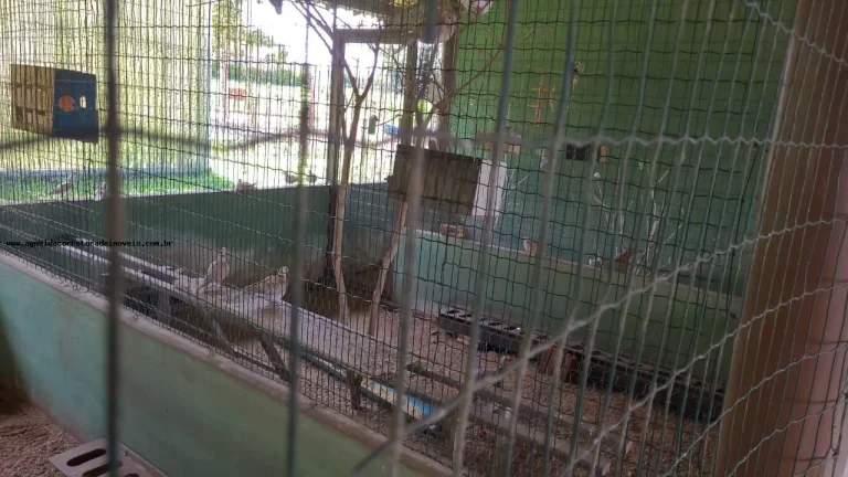 Imagem Terreno em Condomínio para Venda em Macaíba, Área Rural de Macaíba