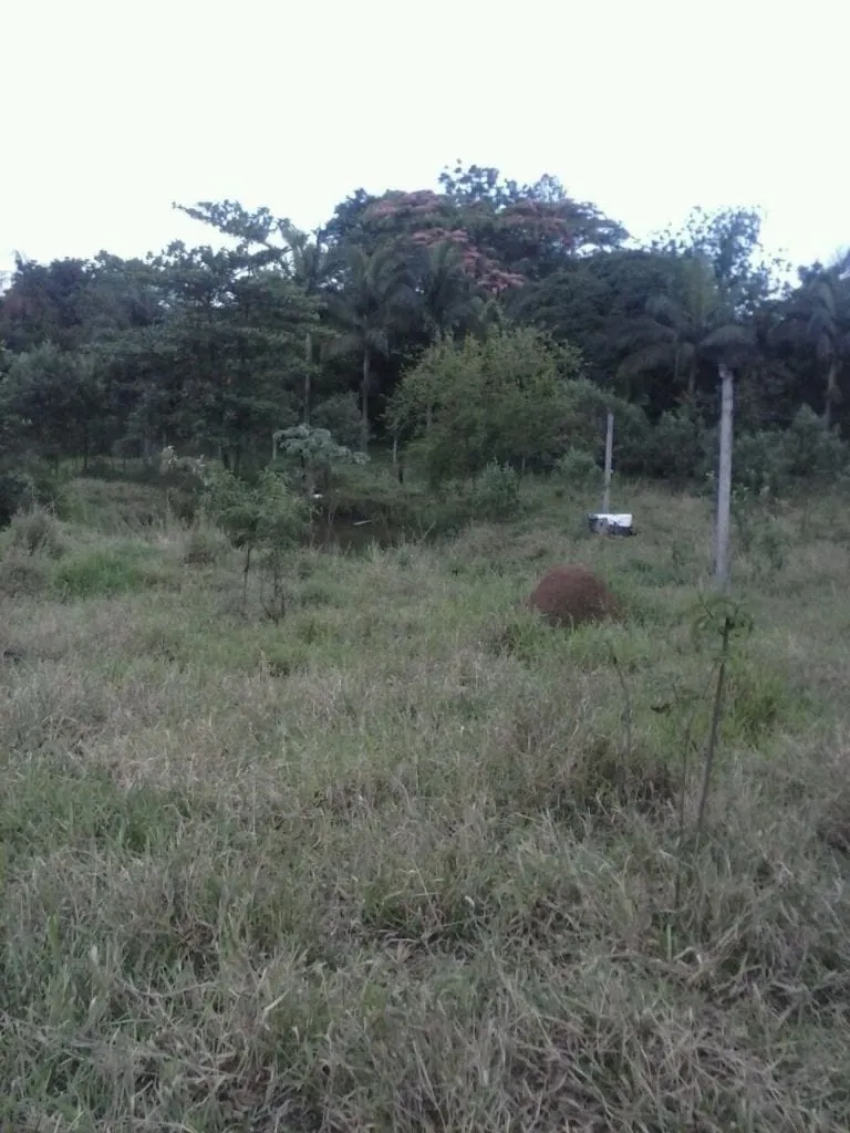 Foto do imóvel Chácara à venda 2 Quartos, João Daniel, Guaratinguetá - SP