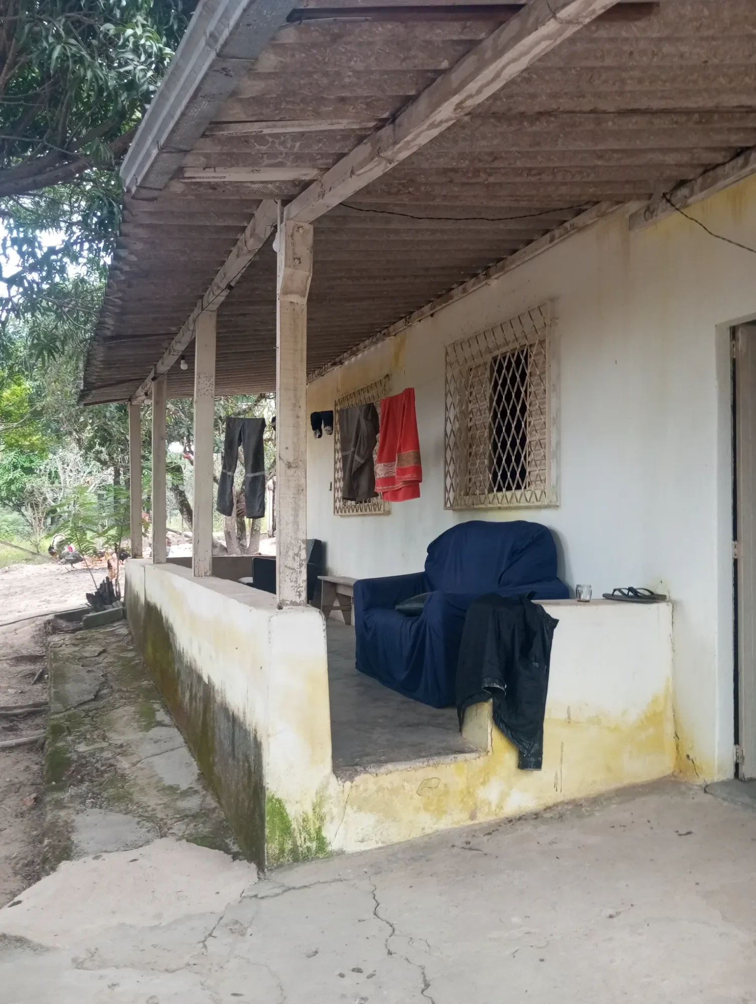 Imagem Sítio à Venda, 20000 metros em Nova União - Nova União