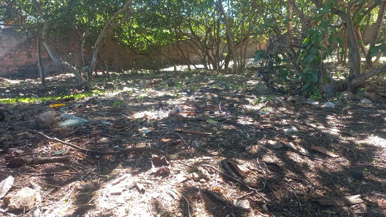 Imagem Terreno Padrão