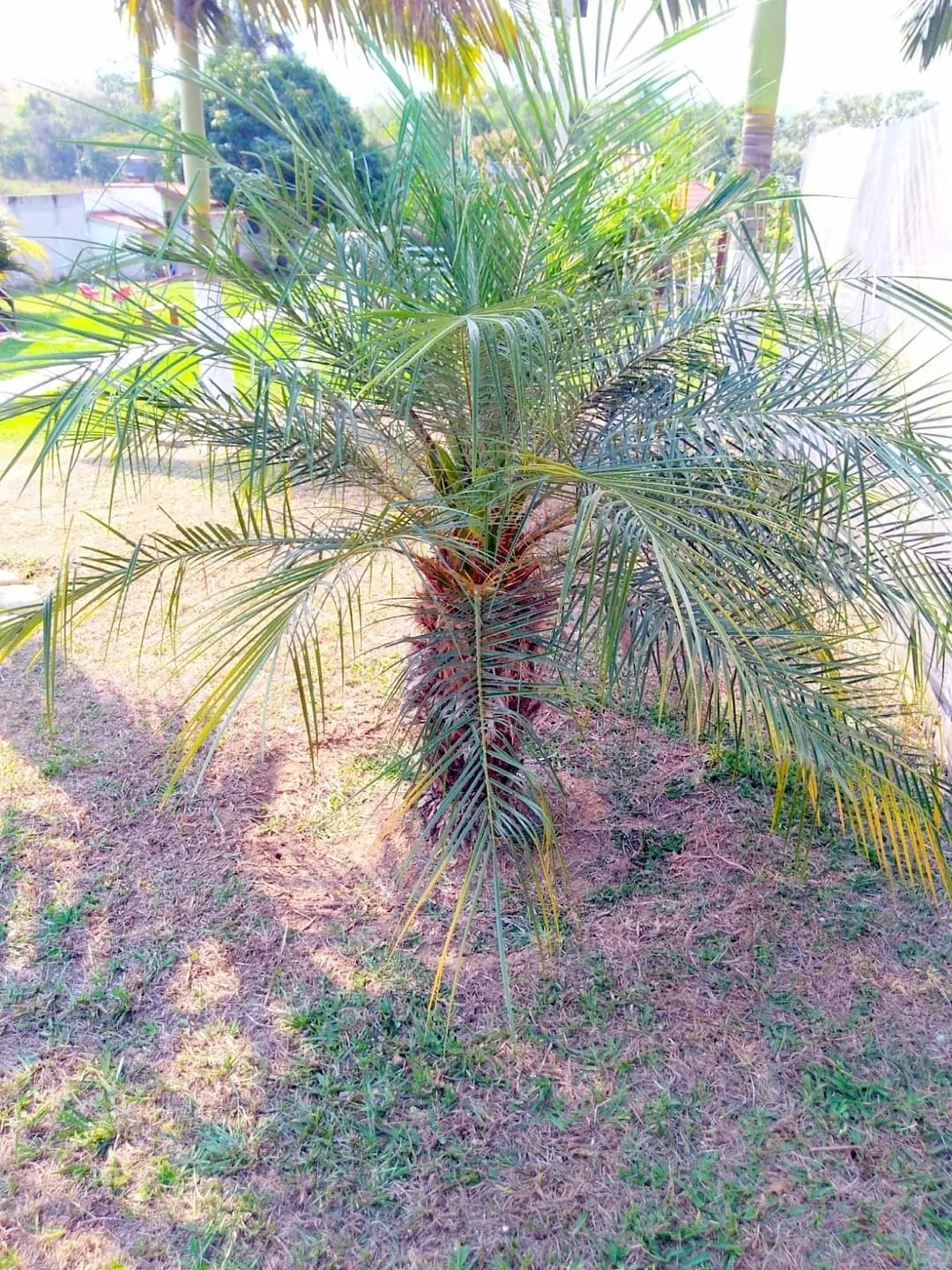 Imagem Chácara à venda 5 Quartos, 3 Suites, 10 Vagas, 5000M², Zona Rural, Guaratinguetá - SP